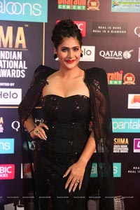 SIIMA 2019 Day 2