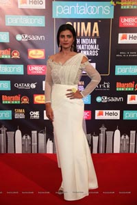 SIIMA 2019 Day 2