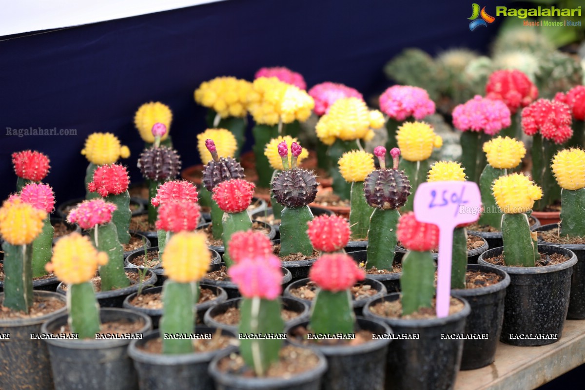 7th All India Horticulture & Agriculture Show and Grand Nursery Mela Backgrounder