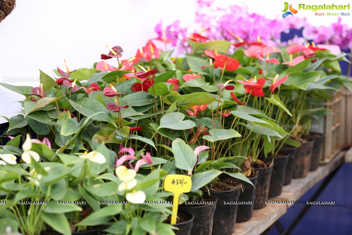 7th All India Horticulture & Agriculture Show and Grand Nursery Mela Backgrounder