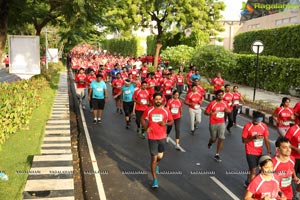 Airtel Hyderabad Marathon 2019 10K, HM & FM