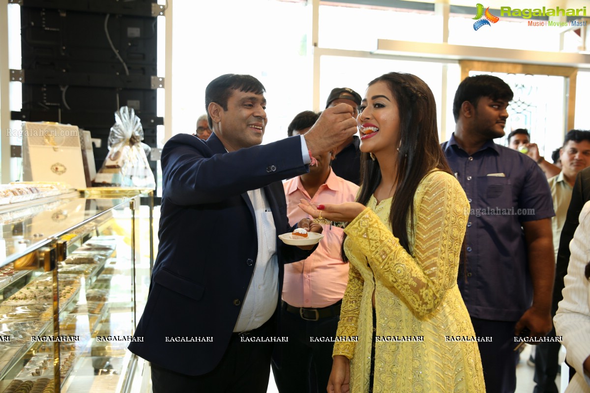 Dadu's & Masala Republic Restaurant Launch at Kondapur