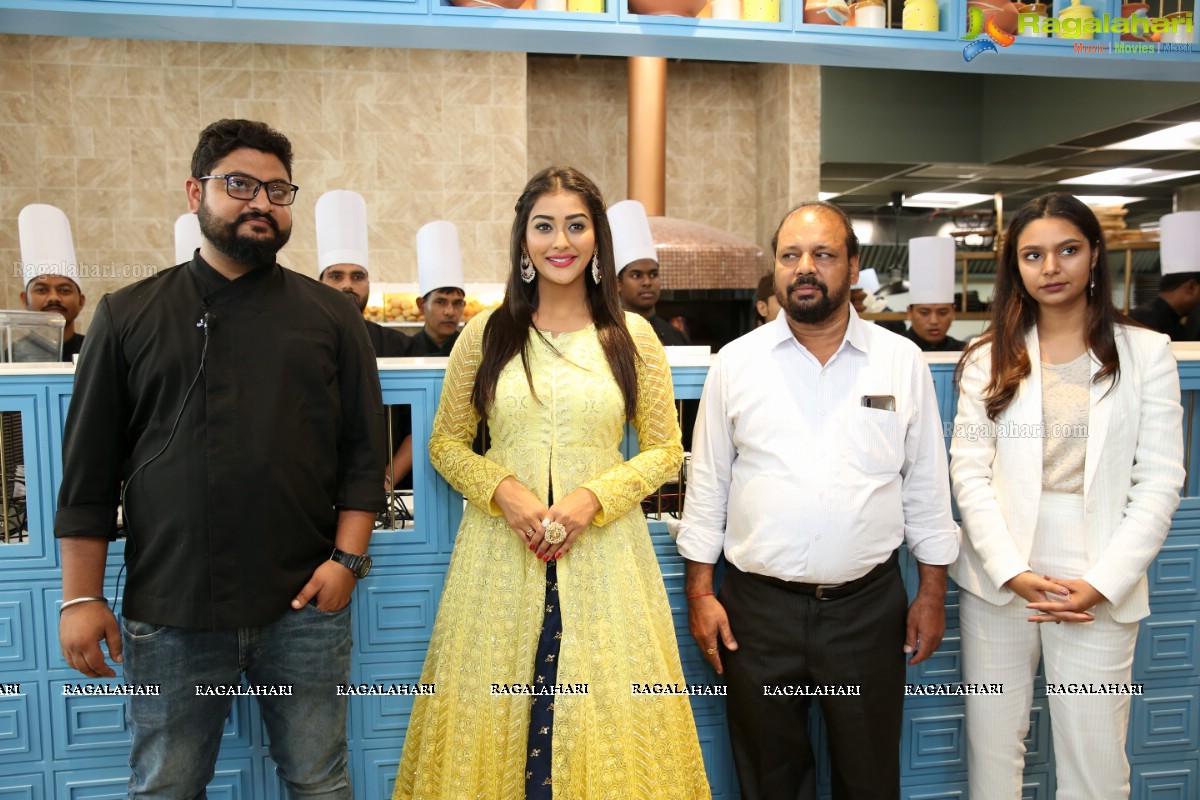 Dadu's & Masala Republic Restaurant Launch at Kondapur