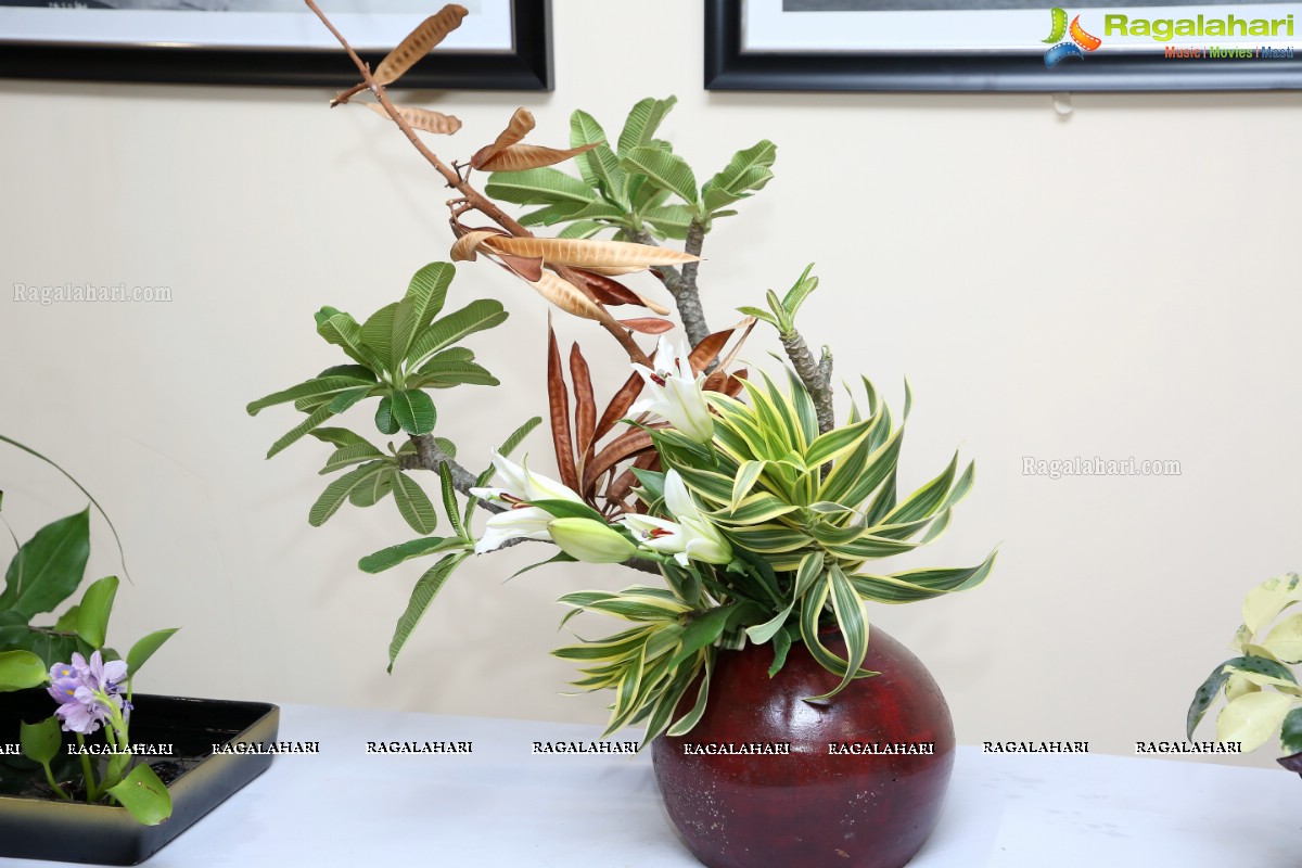 Ikebana Demonstration by Hyderabad Chapter of Ohara School of Ikebana