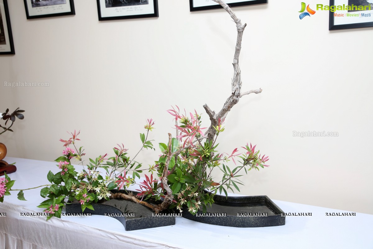 Ikebana Demonstration by Hyderabad Chapter of Ohara School of Ikebana