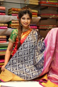 Neeru's 2019 Wedding & Festival Collection Launch