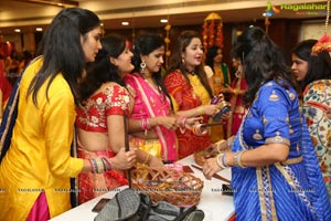 Samanvay Ladies Club Event - Sinjara Mela