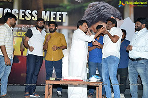 SR Kalyanamandapam Success Meet