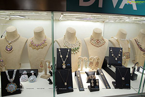 Diva Jewellery Exhibition at Hotel Park Hyatt