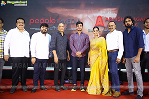 Karthikeya 2 Movie Success Meet