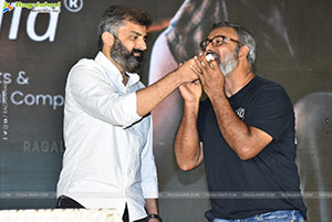 Vikrant Rona Success Meet 