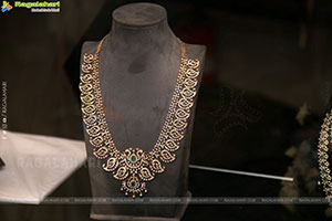 Radhika Diamonds Exhibition Photos