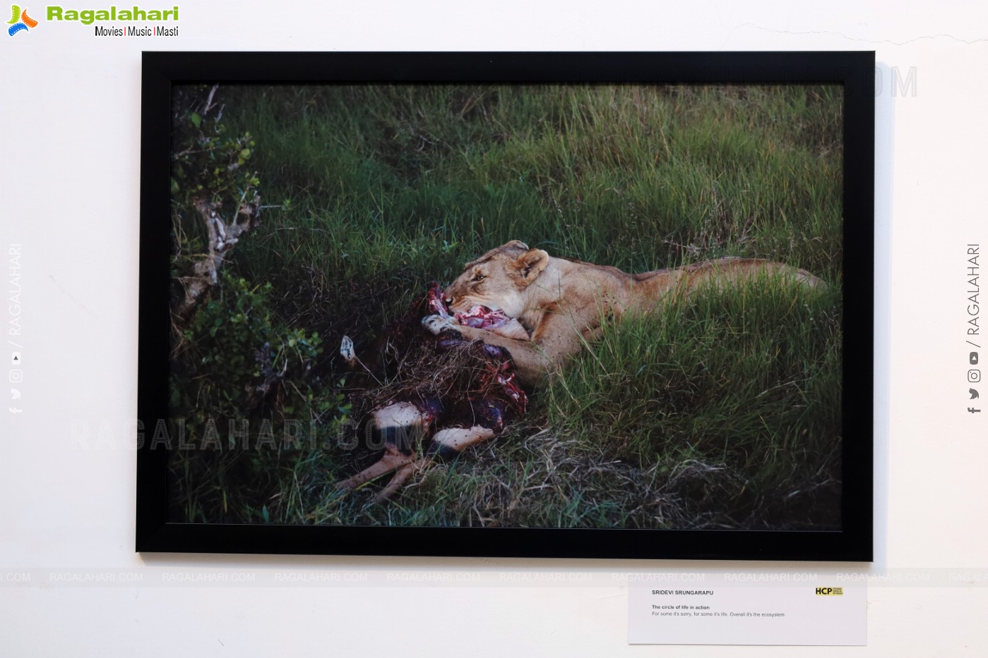 World Photography Day Exhibition Launch Event