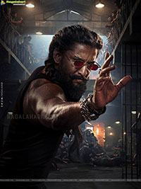 The Paradise Movie Gallery, HD Stills