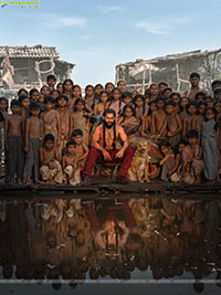 The Paradise Movie Gallery, HD Stills