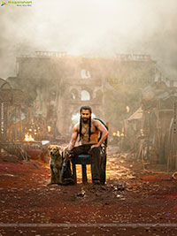 The Paradise Movie Gallery, HD Stills