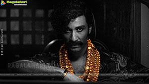 The Paradise Movie Gallery, HD Stills
