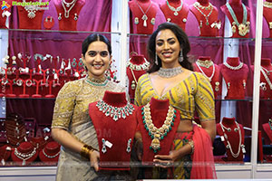Grand Launch of Hi Life Exhibition at HICC-Novotel, Hyd