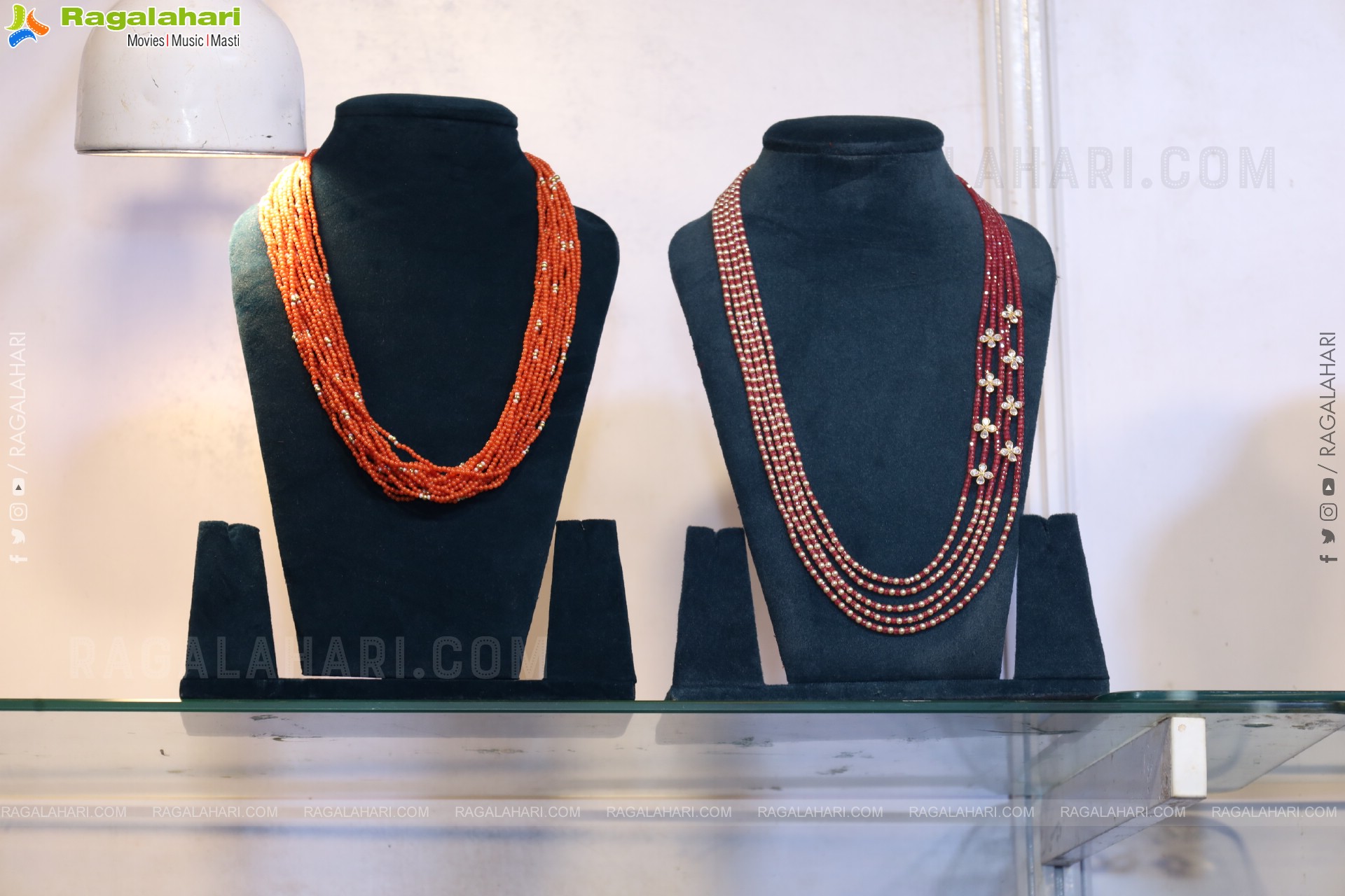 Grand Launch of Hi Life Exhibition at HICC-Novotel, Hyderabad 