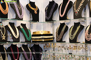 Grand Launch of Hi Life Festival Season Special Exhibition