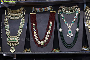 Grand Launch of Hi Life Festival Season Special Exhibition