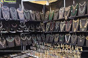 Grand Launch of Hi Life Festival Season Special Exhibition