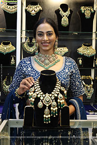 Grand Launch of Hi Life Festival Season Special Exhibition