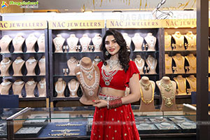 Hi-Life Jewels Grand Launch in Vijayawada