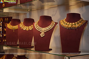 Hi-Life Exhibition Bangalore Grand Launch Event 