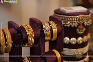 Hi-Life Exhibition Bangalore Grand Launch Event 