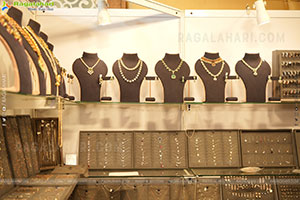 Hi-Life Exhibition Bangalore Grand Launch Event 