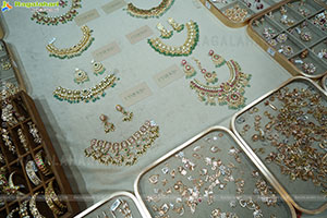 Hi-Life Exhibition Bangalore Grand Launch Event 