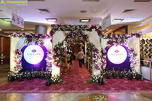 Hi Life Exhibition Radiance Special: Grand Launch Event