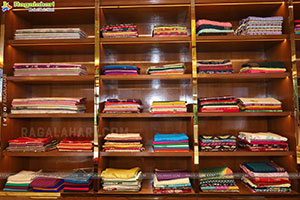 Shree Handlooms Jubilee Hills | Exclusive Saree Showcase