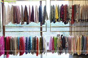 Shree Handlooms Jubilee Hills | Exclusive Saree Showcase