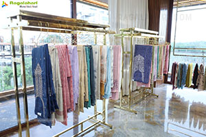 Shree Handlooms Jubilee Hills | Exclusive Saree Showcase