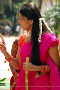 Anushka Photo Gallery/Wallpapers from Baladoor