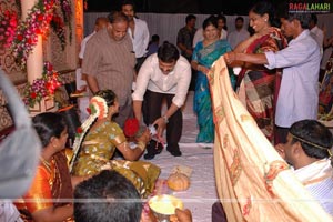 B. V. S. N. Prasad's Son Wedding Reception