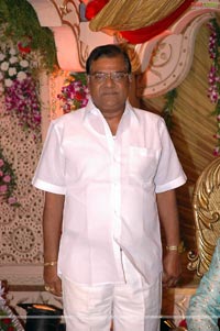 B. V. S. N. Prasad's Son Wedding Reception