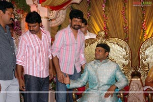 B. V. S. N. Prasad's Son Wedding Reception