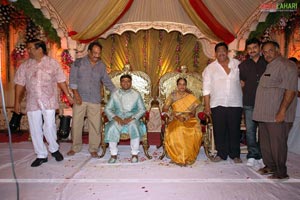 B. V. S. N. Prasad's Son Wedding Reception