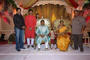 B. V. S. N. Prasad's Son Wedding Reception