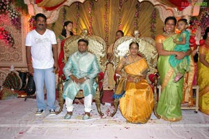 B. V. S. N. Prasad's Son Wedding Reception