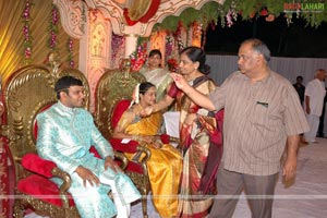 B. V. S. N. Prasad's Son Wedding Reception