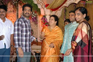 B. V. S. N. Prasad's Son Wedding Reception