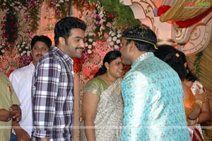 B. V. S. N. Prasad's Son Wedding Reception