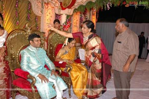 B. V. S. N. Prasad's Son Wedding Reception