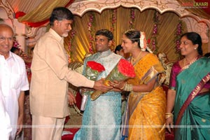 B. V. S. N. Prasad's Son Wedding Reception