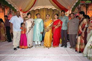 B. V. S. N. Prasad's Son Wedding Reception