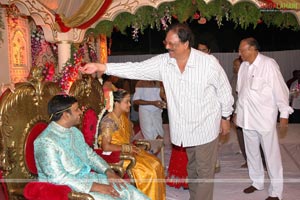 B. V. S. N. Prasad's Son Wedding Reception